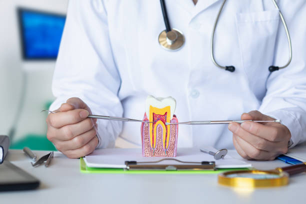 Best Emergency Tooth Extraction in Laporte, CO